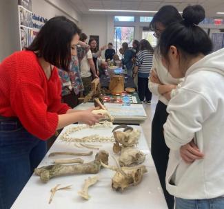 The table of "Quaternary Isotope Paleoecology Lab"