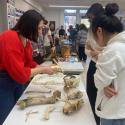 The table of "Quaternary Isotope Paleoecology Lab"